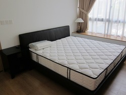 Residences @ Killiney (D9), Apartment #174035822